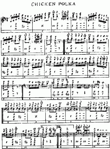 chickenpolka1-feb-10-2009