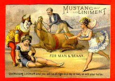 MustangCircus Linament -- June 4 2009 MustangCircus Linament -- June 4 2009