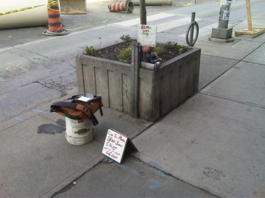 Tonys perch - Sept 24 2009